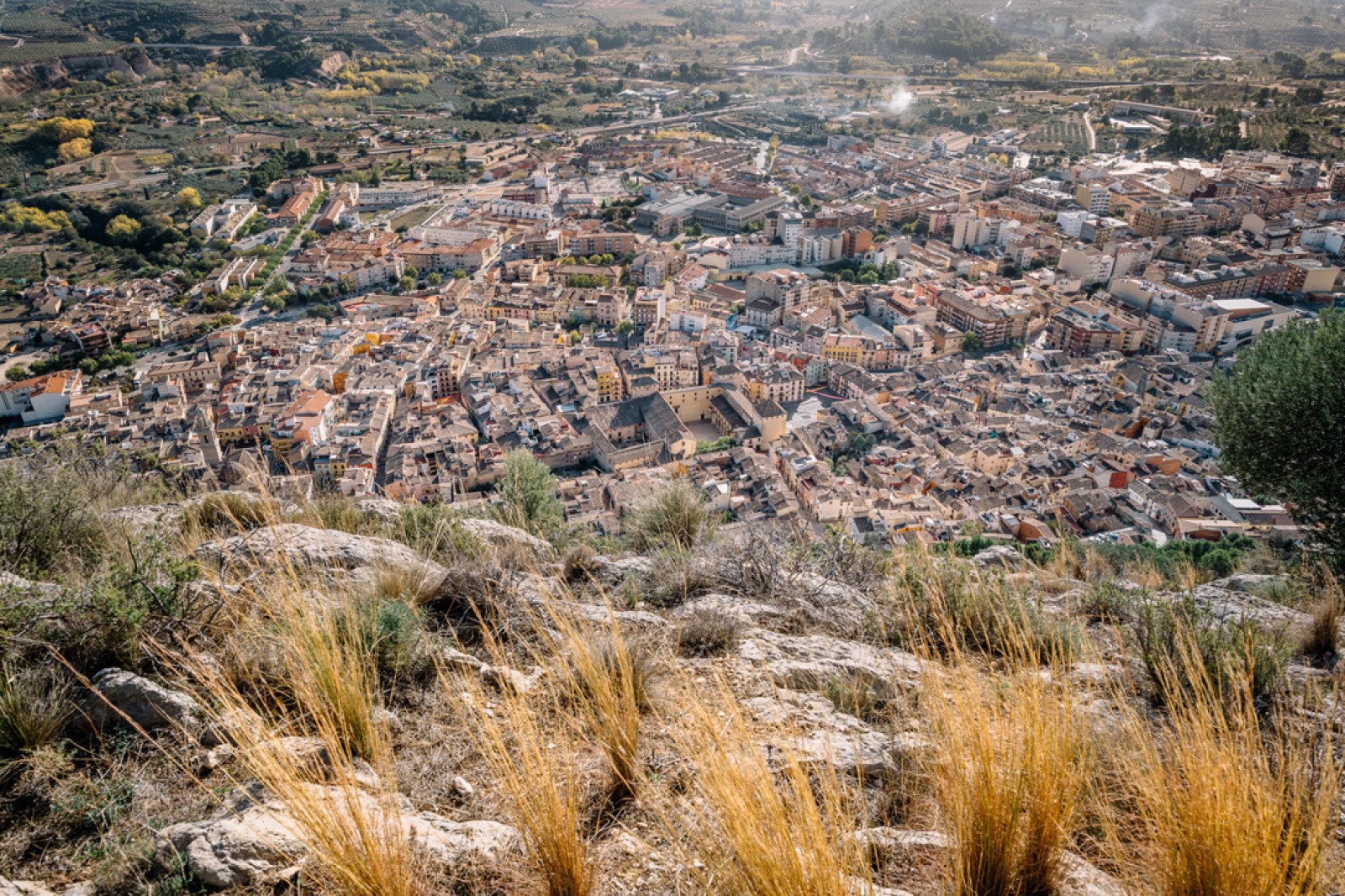 Guía Oficial Quique