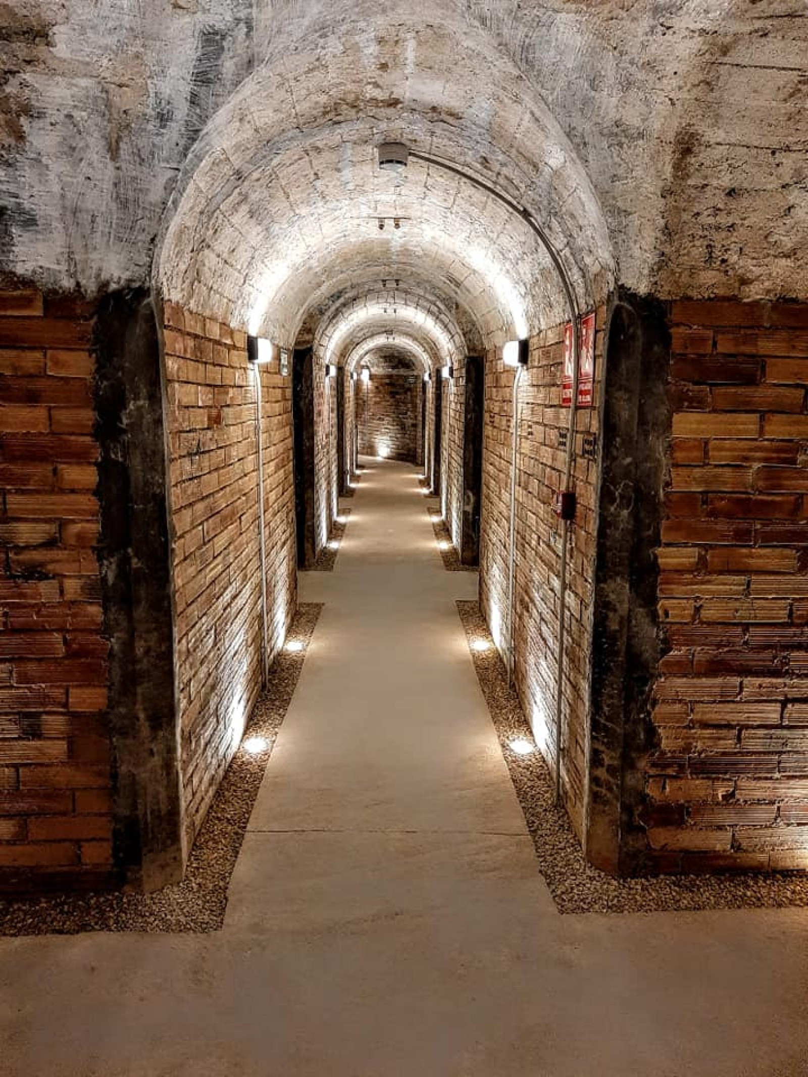 Guía Oficial Quique