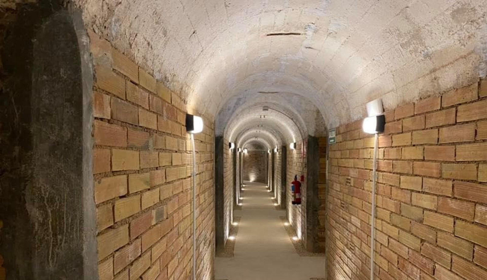 Guía Oficial Quique